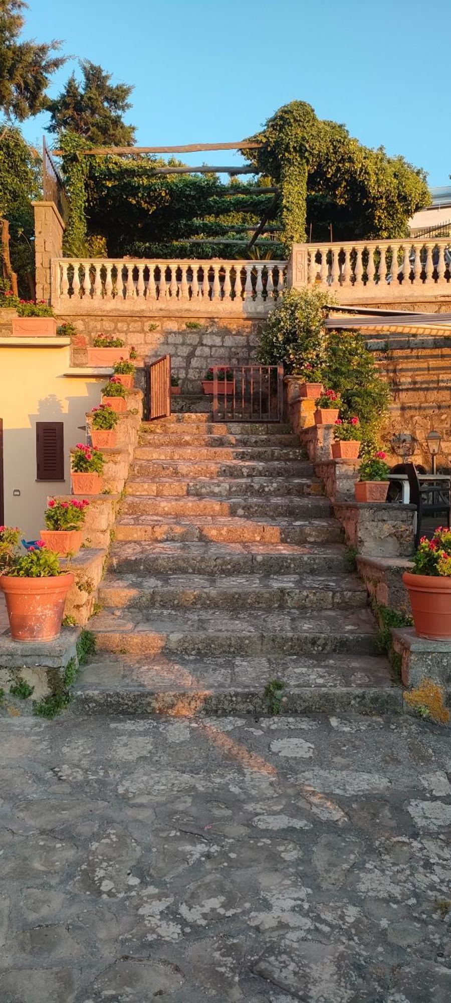 Villa Collywood Piano di Sorrento Esterno foto