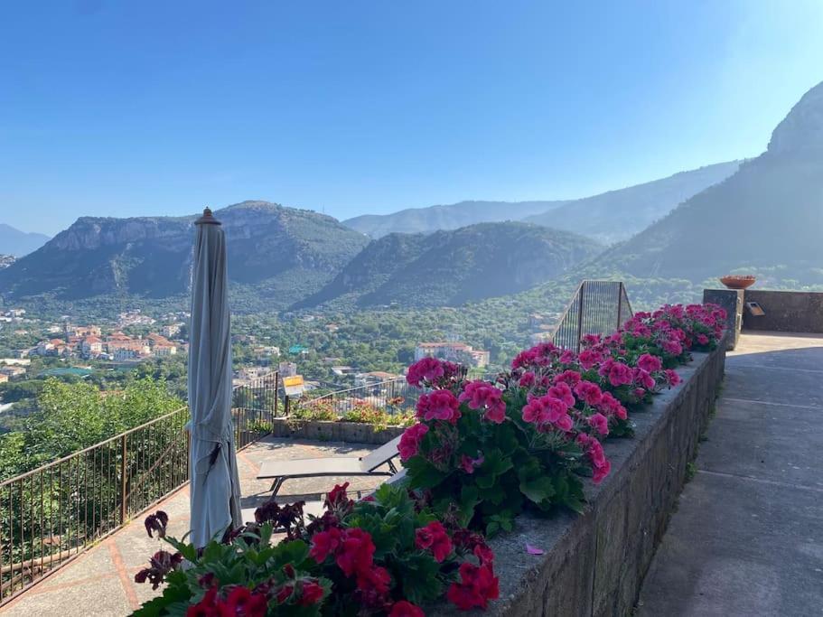 Villa Collywood Piano di Sorrento Esterno foto